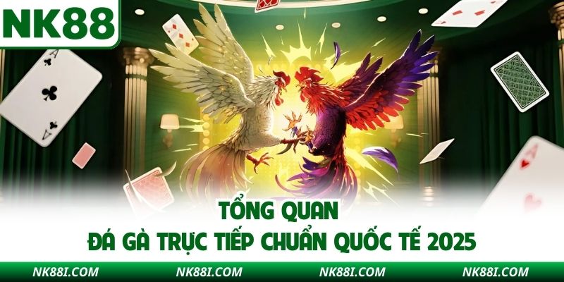 Tổng quan đá gà trực tiếp chuẩn quốc tế 2025